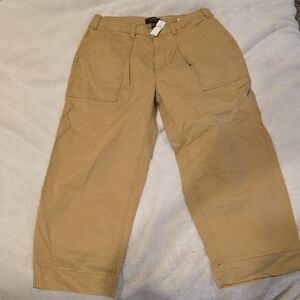 Banana Republic Chino Pants in Tan